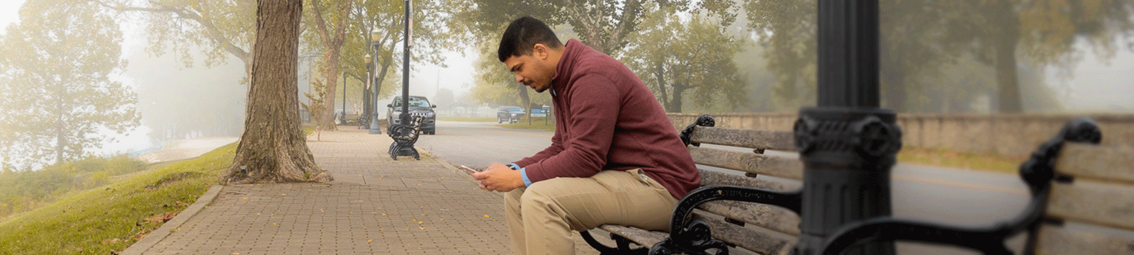 Man sitting on a branch and looking at his phone.