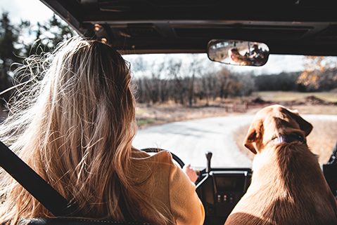 Woman driving car with dog.